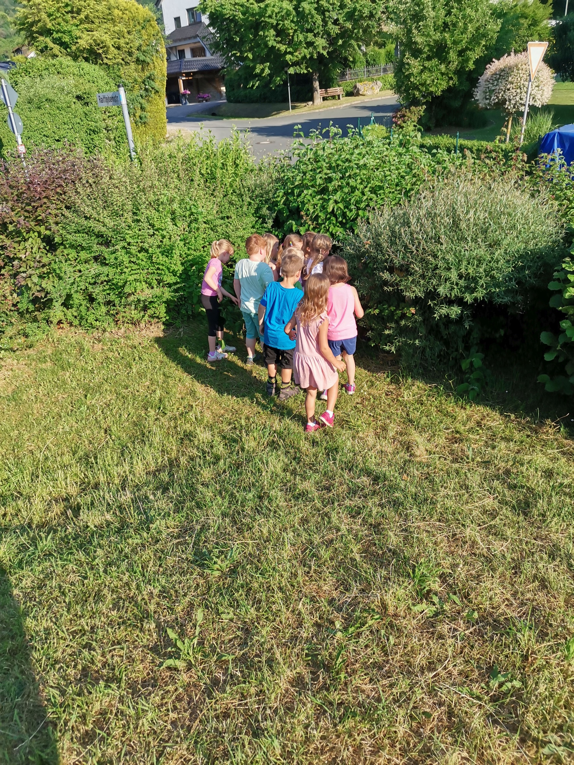 Aktion Pusteblumenkinder