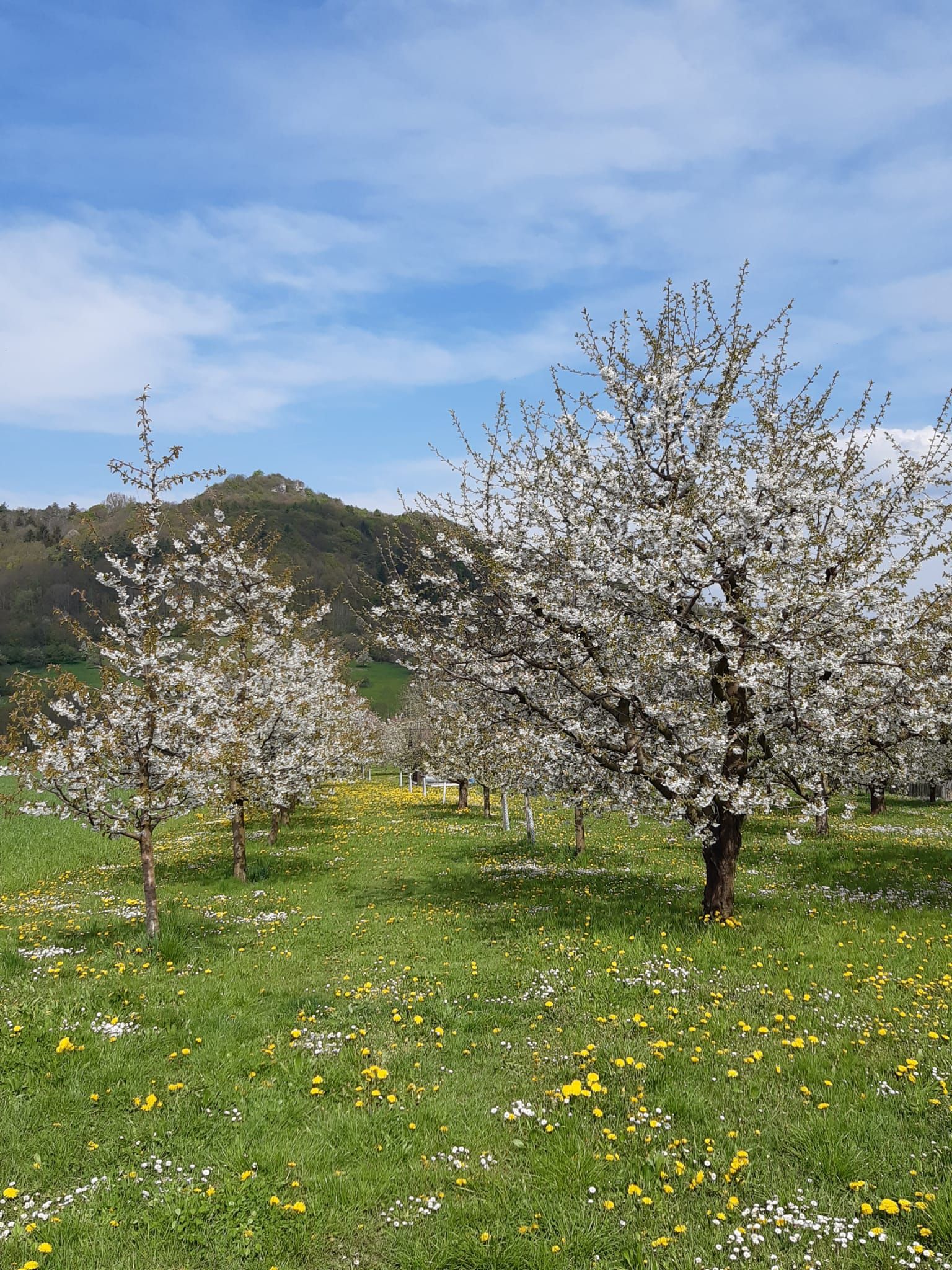 Naturerlebnistag