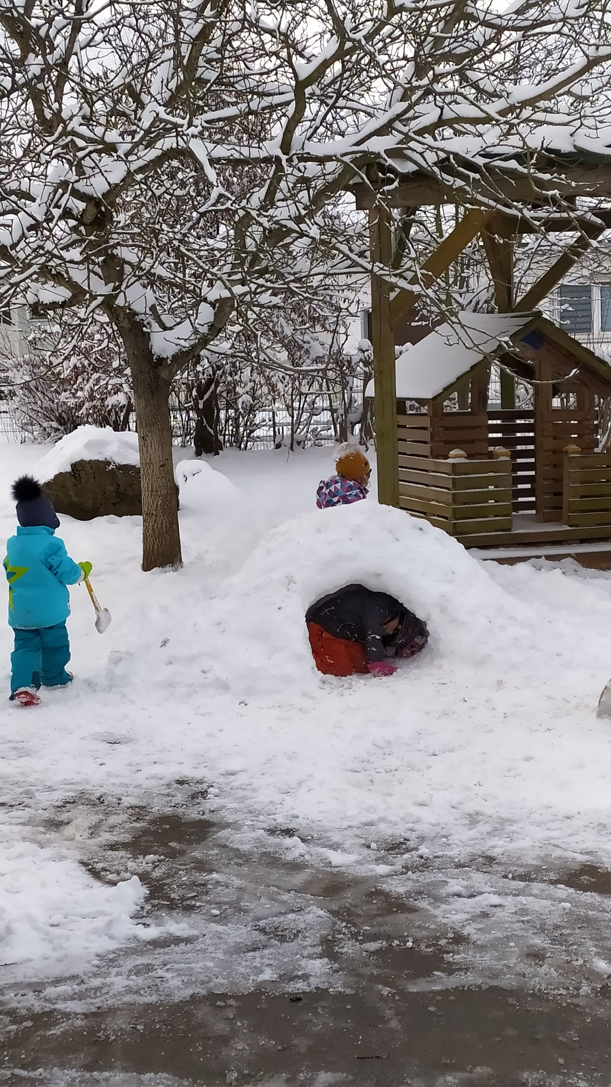 Winterfreuden